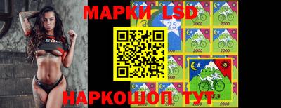 гашик Тулун