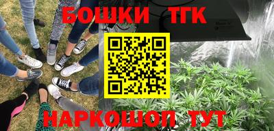 гашик Тулун