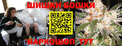 гашик Тулун