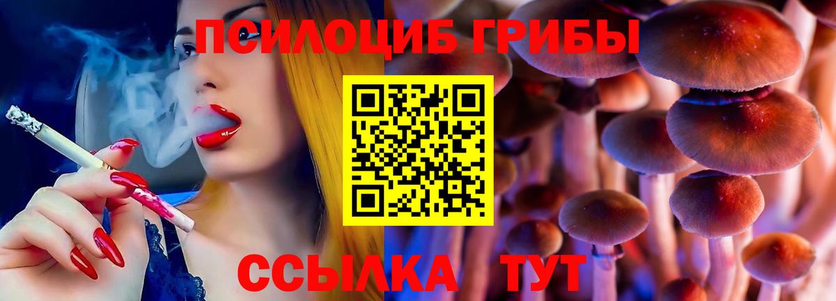 Галлюциногенные грибы мухоморы Коряжма